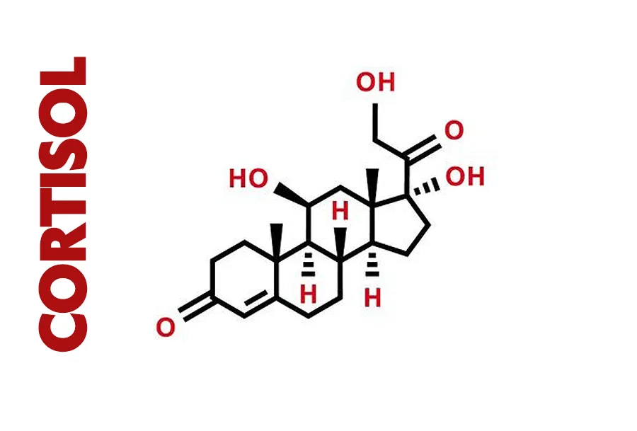 Κορτιζόλη – Πόσο δραστικά επιδρά στον οργανισμό η ορμόνη του stress