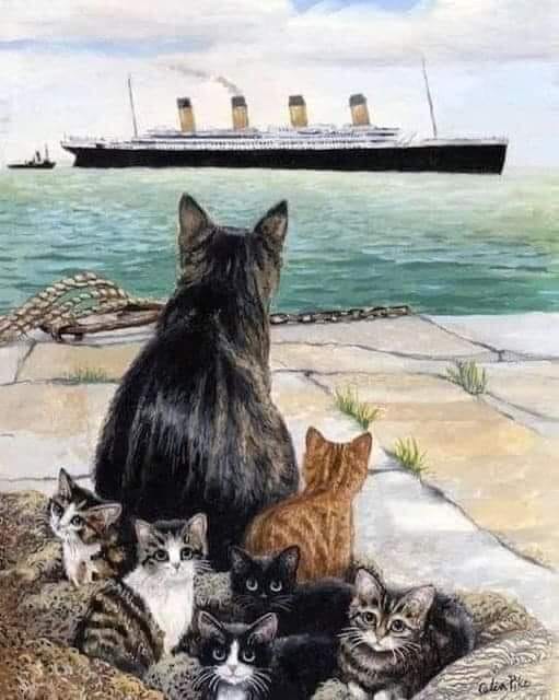 Η «Γάτα του Τιτανικού» που προέβλεψε τη βύθιση και ανέσυρε τα μωρά της πριν σαλπάρει το πλοίο.