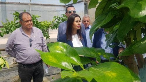 Στόχος η αύξηση του πρωτογενούς τομέα είπε η Υπουργός Γεωργίας